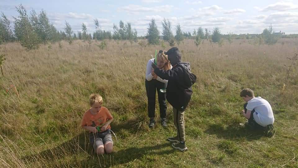 Planting Trees Locally